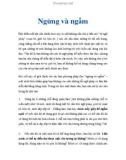 Ngừng và ngẫm