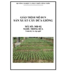 Giáo trình Sản xuất cây dứa giống - MĐ02: Trồng dứa