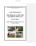 Giáo trình Thu hoạch và tiêu thụ sầu riêng, măng cụt - MĐ07: Trồng sầu riêng, măng cụt