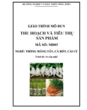 Giáo trình Thu hoạch và tiêu thụ sản phẩm - MĐ05: Trồng măng tây, cà rốt, cải củ