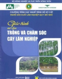 Giáo trình Trồng và chăm sóc cây lâm nghiệp - NXB Nông nghiệp