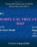 Chuyên đề 1 : TÌM HIỂU CẤU TRÚC CỦA TẾ BÀO