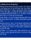 Bệnh học thủy sản : Bệnh do môi trường part 2