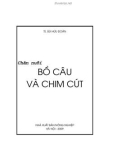 Chăn nuôi bồ câu và chim cút