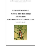 Giáo trình Phòng trừ dịch hại - MĐ04: Trồng măng tây, cà rốt, cải củ