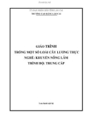 Giáo trình Trồng một số loài cây lương thực (Nghề: Khuyến nông lâm) - Trường Cao Đẳng Lào Cai