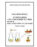 Giáo trình Vi nhân giống cây lâm nghiệp tự chọn - MĐ06: Vi nhân giống cây lâm nghiệp