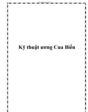 Kỹ thuật ương Cua Biển