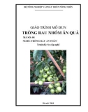 Giáo trình Trồng rau nhóm ăn quả - MĐ04: Trồng rau an toàn