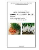 Giáo trình Trồng rau nhóm ăn củ - MĐ05: Trồng rau an toàn