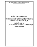 Giáo trình Trồng cây trong hệ thống nông lâm kết hợp - MĐ03: Sản xuất nông lâm kết hợp