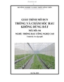 Giáo trình Trồng và chăm sóc rau không dùng đất - MĐ04: Trồng rau công nghệ cao