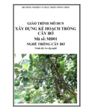 Giáo trình Xây dựng kế hoạch trồng cây bơ - MĐ01: Trồng cây bơ