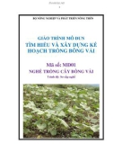 Giáo trình Tìm hiểu và xây dựng kế hoạch trồng bông vải - MĐ01: Trồng cây bông vải