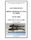 Giáo trình Phòng trị bệnh cá lăng, cá chiên - MĐ04: Nuôi cá lăng, cá chiên