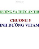 Dinh dưỡng và thức ăn thủy sản - Chương 5