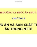 Bài giảng Dinh dưỡng và thức ăn thủy sản: Chương 9 - TS. Ngô Hữu Toàn