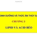 Bài giảng Dinh dưỡng và thức ăn thủy sản: Chương 3 - TS. Ngô Hữu Toàn