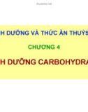 Bài giảng Dinh dưỡng và thức ăn thủy sản: Chương 4 - TS. Ngô Hữu Toàn