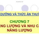 Bài giảng Dinh dưỡng và thức ăn thủy sản: Chương 7 - TS. Ngô Hữu Toàn