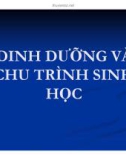 Bài giảng Quản lý môi trường ao nuôi thủy sản - Chương 5: Dinh dưỡng và chu trình sinh học