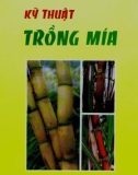 Kỹ thuật trồng mía part 1