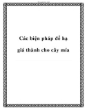 Các biện pháp để hạ giá thành cho cây mía