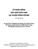 Lạc, đậu tương, mía và kỹ thuật trồng xen canh luân canh