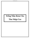 Trồng Nấm Rơm Cho Thu Nhập Cao