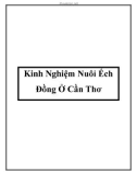 Kinh Nghiệm Nuôi Ếch Đồng Ở Cần Thơ