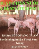 Bài giảng Kỹ thuật chăn nuôi heo trên đệm lót sinh học - KS. Bùi Quang Tuấn