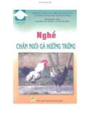 Kỹ thuật chăn nuôi gà hứng trứng: Phần 1