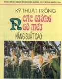 Phương pháp trồng các giống ngô mới có năng suất cao