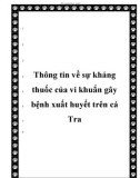 Thông tin về sự kháng thuốc của vi khuẩn gây bệnh xuất huyết trên cá Tra