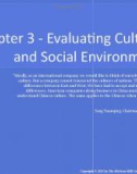 Lecture Global marketing: Contemporary theory, practice, and cases – Chapter 3: Evaluating cultural and social environments