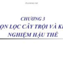 Chương 3 chọn lọc cây trội và khảo nghiệm hậu thế