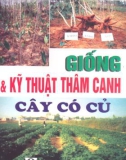 Kỹ thuật chọn Giống và thâm canh cây có củ