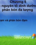 Bài giảng Chương 5: Các nguyên tố dinh dưỡng và phân bón đa lượng