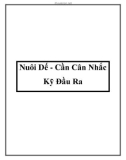 Nuôi Dế - Cần Cân Nhắc Kỹ Đầu Ra