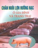 Hướng dẫn chăn nuôi lợn hướng nạc ở gia đình và trang trại