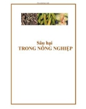 Sâu hại trong nông nghiệp