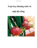 Loại trụ, khoảng cách và mật độ trồng