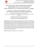 Phân lập, tuyển chọn và định danh vi khuẩn nội sinh hòa tan lân và cố định đạm trên cây Đinh lăng lá nhỏ (Polyscias fruticosa L. Harms)