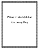 Phòng trị sâu bệnh hại đậu tương đông