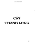 Quyển 2: Cây bưởi, thanh long - Hỏi đáp về kỹ thuật canh tác cây ăn trái: Phần 2