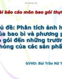 Báo cáo: Phân tích ảnh hưởng của bao bì và phương pháp bao gói đến những trường hợp hư hỏng của các sản phẩm khô