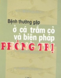 Biện pháp phòng trị bệnh thường gặp ở cá trắm cỏ: Phần 1