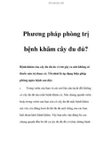 Phương pháp phòng trị bệnh khãm cây đu đủ?