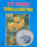 Kỹ thuật trồng và ghép mai part 1