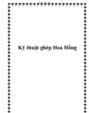 Kỹ thuật ghép Hoa Hồng